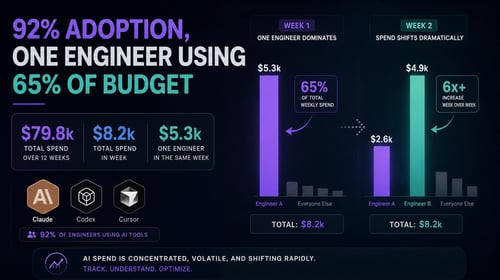 Graph showing AI tool spending by week, highlighting one engineer's dominant 65% budget usage, then shifts to another.